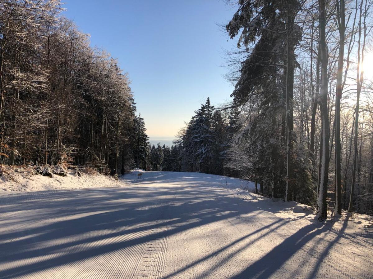 Chalet Anra Pohorje Zgornje Hoce Exterior foto