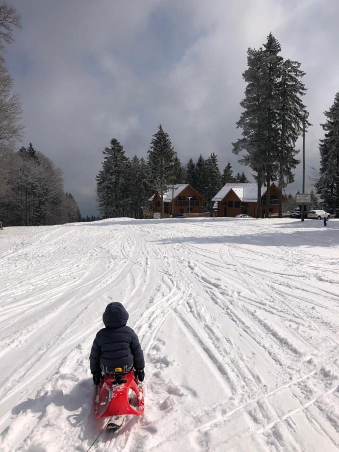 Chalet Anra Pohorje Zgornje Hoce Exterior foto